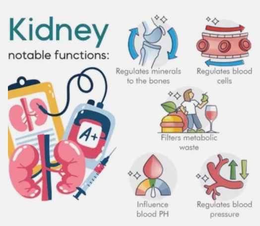 Doctor Approved™ Sugar Control LI4 Acupressure Point Clip 🇩🇪 BUY 1 Get 1 FREE